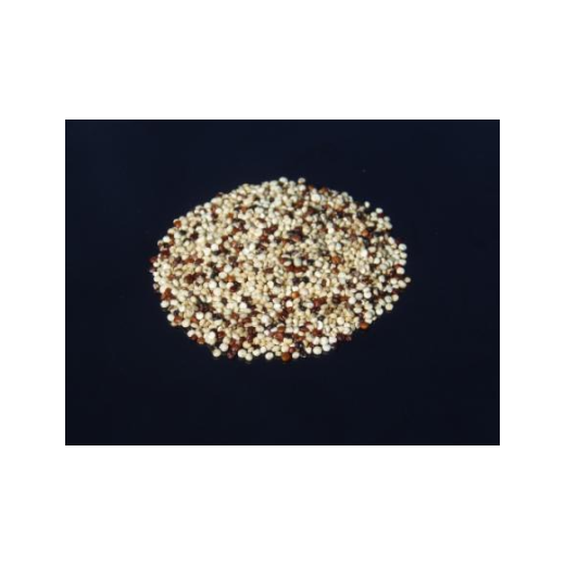 Quinoa Tri Coloured Organic 1kg